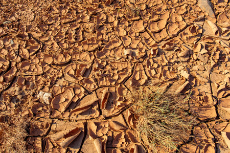Texture. As the sun sets on the horizon, discover the enchanting charm of a desert oasis! Walk through impressive sand dunes and admire the intricate textures and patternsの写真素材