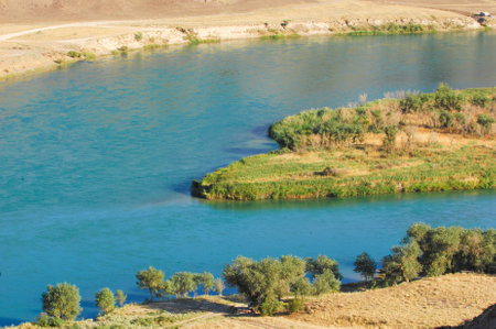 Feel the soothing sound of water flowing over the stones. Watch for wild animals gathering on the river bank. Take stunning photos of the natural beauty around you.の写真素材