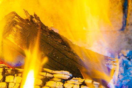 Create a warm and cozy atmosphere with a beautiful fire Burning logs create both warmth and...