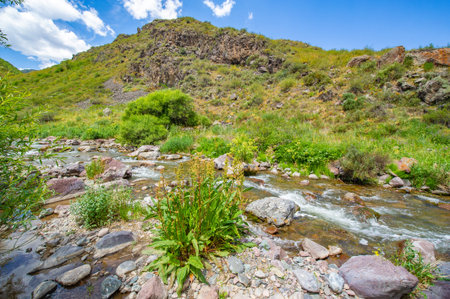 Experience the serene flow of the river through the majestic canyon. Explore the stunning beauty of...