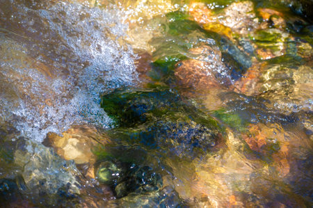 Immerse yourself in untouched wilderness. Feel the rhythmic dance of water in a mountain stream. Appreciate the intricate details of each stone. Witness the shimmering play of light on the water.の写真素材