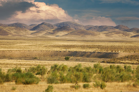Steppe, prairie, plain, pampa. Beautiful sunset sky. Channel your inner explorer to this oasis surrounded by magnificent mountains Wilderness Escapeの写真素材