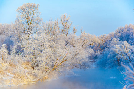 Witness the magical beauty of nature's winter spectacle. Be enchanted by the shimmering frost on the...