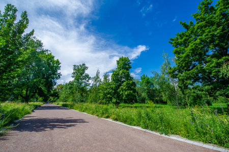 Park Alley. A serene path shrouded in the crowns of majestic trees invites you to wander and immerse...