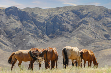 Scenic view of horses grazing in the river delta. Horses roam freely in their natural habitat. Stunning backdrop of rocky landscape. A tranquil setting for nature lovers and photographers.の写真素材