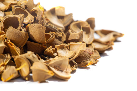 Apricot Kernels Natural Apricot Kernel Exfoliating Scrub Grain-free formulation for sensitive skin...