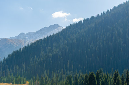 Experience the stunning beauty of the Tien Shan Mountains in autumn. Immerse yourself in vibrant foliage and breathtaking scenery. An ideal holiday destination for nature lovers. Explore hiking trailsの写真素材