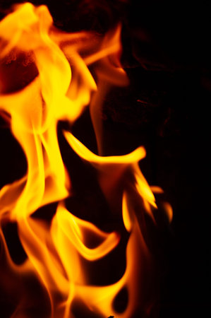 Fire. Fire is an important process affecting ecological systems around the world. Positive effects...