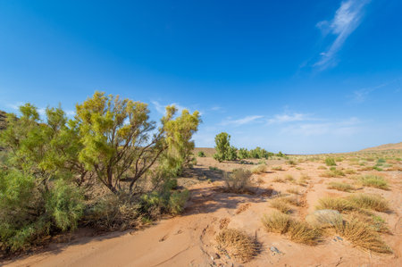 Experience the spectacular beauty of a fiery sunset. Be captivated by the warm glow bathing the mountains. Witness nature's grand finale unfolding before your eyes.の写真素材