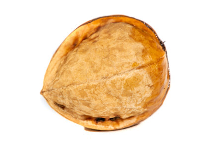 Walnut. The best thing about walnuts is the smell.の写真素材