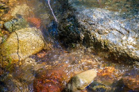 Immerse yourself in untouched nature and feel the beauty of a mountain stream. Find solace in the...