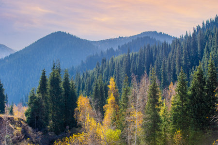 Nature's Canvas Immerse yourself in the breathtaking beauty of the autumn splendor of the Tien Shan. These colorful trees located among the majestic mountains, Tien Shan Mountain Retreatの写真素材