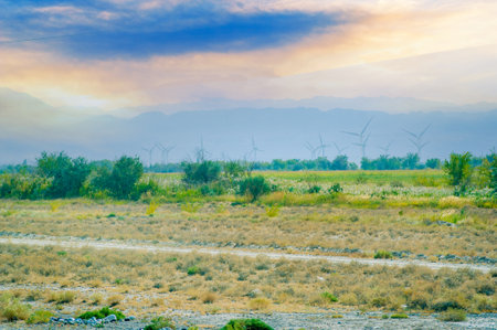 Enjoy the stunning beauty of the prairies. Watch as the vibrant colors of the sunset create a mesmerizing spectacle. Immerse yourself in the bliss and tranquility of natureの写真素材