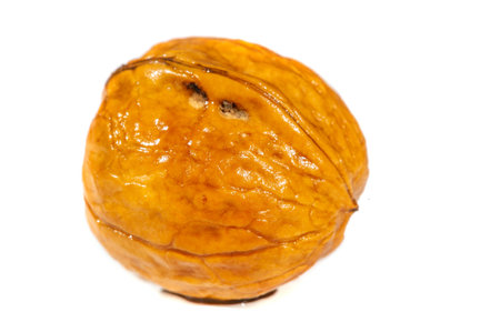 Walnut.