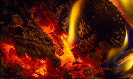 Fire in the fireplace. Fire is beneficial to most of our senses. We love the smell of smoke, the...