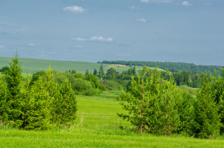 Summer landscape, ravines, meadows, green grasses of the summer landscape, the sultry summerの写真素材