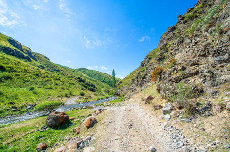 Feel the serene flow of the river through the rocky canyon. Breathe in the fresh mountain air and...