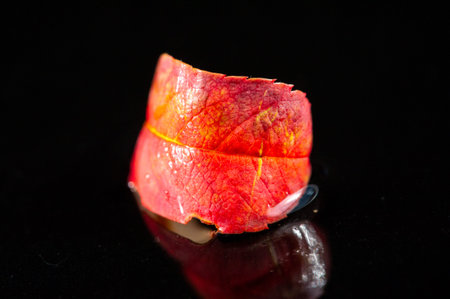 A stunning image of a bright red autumn rowan leaf. Contrast against a black background to create a...