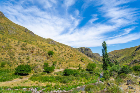 Experience the serene beauty of the river flowing through the rocky canyon. Immerse yourself in the untouched wilderness of the mountains. Witness the harmonious dance of natureの写真素材