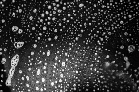 Keep your dishes sparkling clean by using detergent on a black plate. Turn everyday cleaning into a sensory pleasure.の写真素材