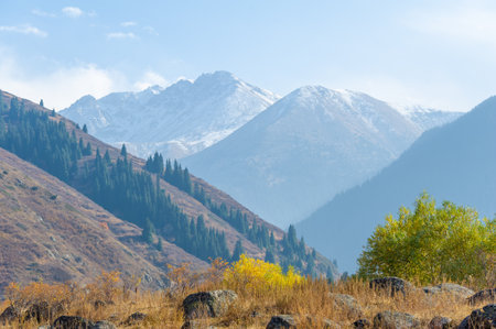 Enjoy the enchanting beauty of the majestic Tien Shan spruce and birch trees. Admire the serene autumn scenery among the rocky cliffs. Immerse yourself in the splendor of autumnの写真素材