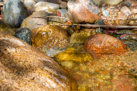 Experience the pristine wilderness of a mountain stream. Witness the rhythmic dance of water and admire its beauty. Explore the intricate details of each rock in the stream.の写真素材