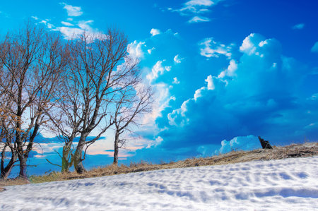Capture the beauty of the changing seasons. Witness the transition from winter to spring. Experience a peaceful and serene atmosphere during sunset.の写真素材
