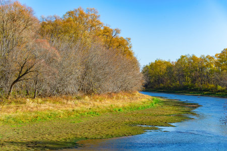 The change of season brings a new perspective to the river. As the water recedes, the hidden depths...