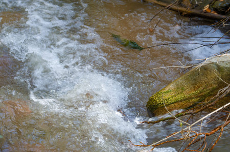 Feel the serenity of nature's serenity. Listen to the soothing melody of water dancing over rocky...