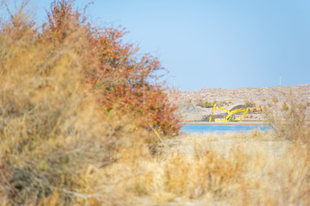 Autumn, Steppe. Prairies. Barberry, Witness the stunning charm of the red bushes decorating the steppe, as if nature whispered its secrets and painted the land with grace and charm.の写真素材