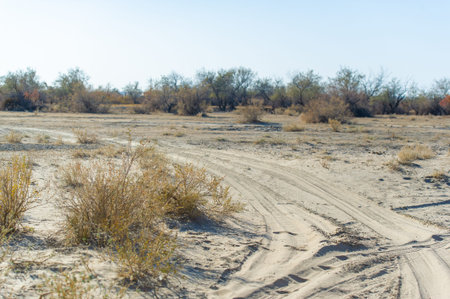 Experience the stunning beauty of fall on a dirt road adventure. Explore the hidden wonders of the steppe and prairie. Connect with nature and immerse yourself in its pristine beauty.の写真素材