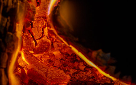 Fire. Fire is an important process affecting ecological systems around the world. Positive effects...