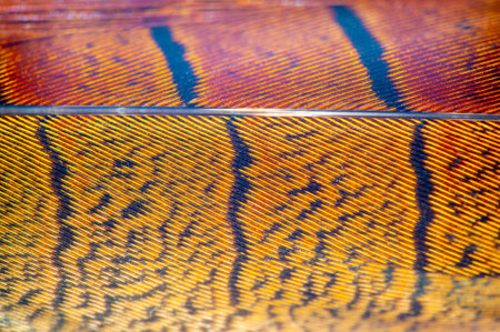 An exquisite feathered pheasant with vibrant hues and flowing curves
