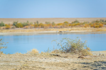 River in the steppe. Prairies. Enjoying the fresh autumn breeze by the river in the steppe!の写真素材
