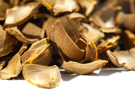 Apricot kernel. Raw materials for production. Natural, vegetable, scrub. Apricot oil, which is part...