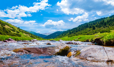 Summer in the mountains. River in the highlands. Summer landscape.