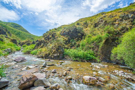 Enjoy the serene beauty of nature in the rocky canyon. Immerse yourself in the peaceful flow of the...