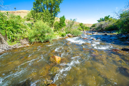 Enjoy the enchanting beauty of the mountain river. Listen to the whispers of ancient magic carried by the flowing water. Capture the endless beauty of nature in its purest form.の写真素材