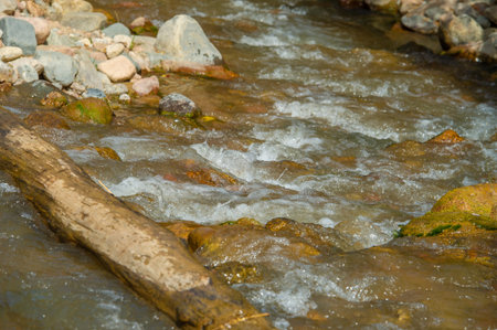 Experience the tranquility of serene waters flowing through rocky obstacles. Witness the resilience...