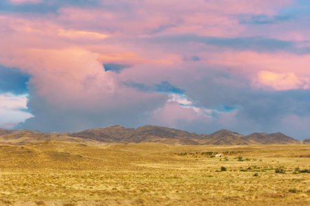 Steppe, prairie, plain, pampa. Embraced by the glowing warmth of the setting sun, the prairie whispers a sorrowful tale of yet another day gone by. Sunset Reflectionsの写真素材