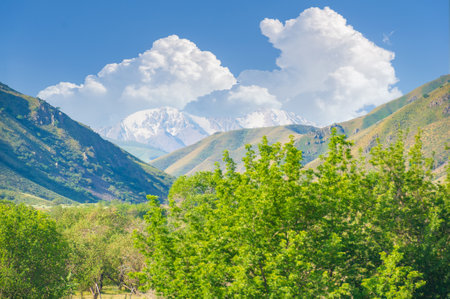 Explore the beauty of the majestic mountains in the foothills. Enjoy outdoor activities such as hiking and camping in the summer. Enjoy stunning views and tranquil surroundings.の写真素材