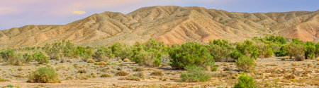 Panorama. Red Mountains of Boguty. In the heart of the mountains, silent guardians rise from the...