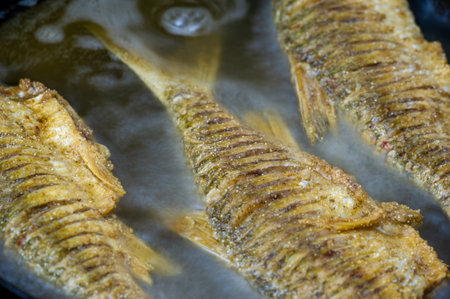 The fish is ready to eat. These are aquatic cold-blooded vertebrates that live both in the sea and...