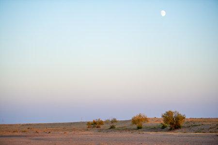 Relax in the tranquil beauty of the steppe as the sun dips below the horizon, painting the sky in vibrant shades of orange and pink.の写真素材