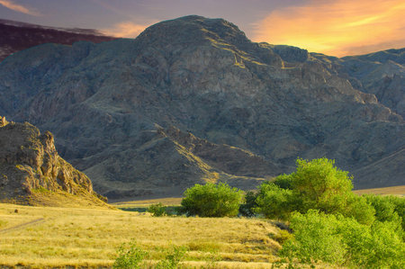 Explore the summer steppe and feel its beauty. Discover the powerful power of a mountain river....