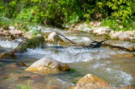 Experience the untouched beauty of a mountain stream. Discover the mesmerizing dance of water and...