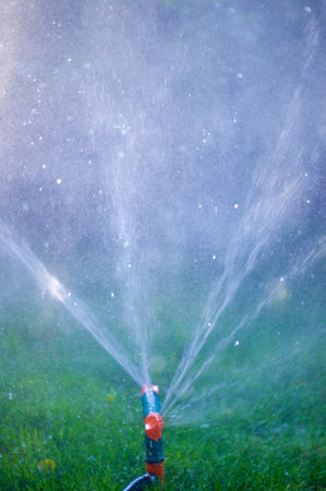 Keep your garden hydrated and healthy with a sprinkler. A simple and effective way to water your plants and lawn. Saves time and effort compared to manual watering.の写真素材