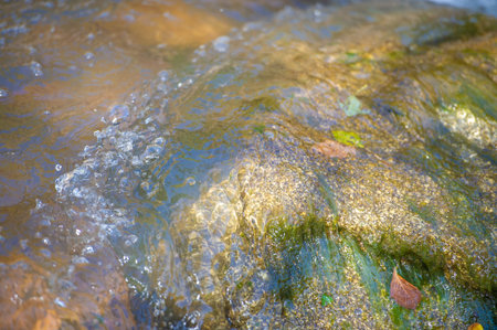 The water in a mountain stream.