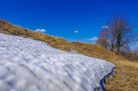 Yellow fields contrast with patches of lingering snow. The trees stand bare and stand out sharply against the background of the landscape. The promise of spring is evident in the withered grassの写真素材