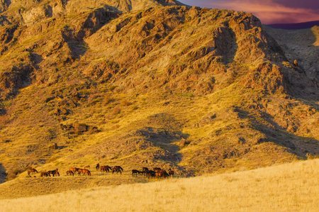 Beautiful sunset view in Central Asia. Enjoy unique landscapes of rocky rivers and vast steps. Ideal for nature lovers and adventure seekers.の写真素材